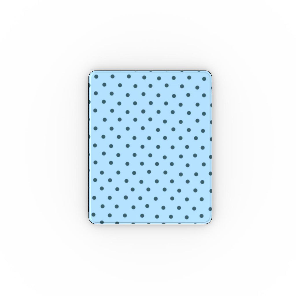 Apple iPad Case