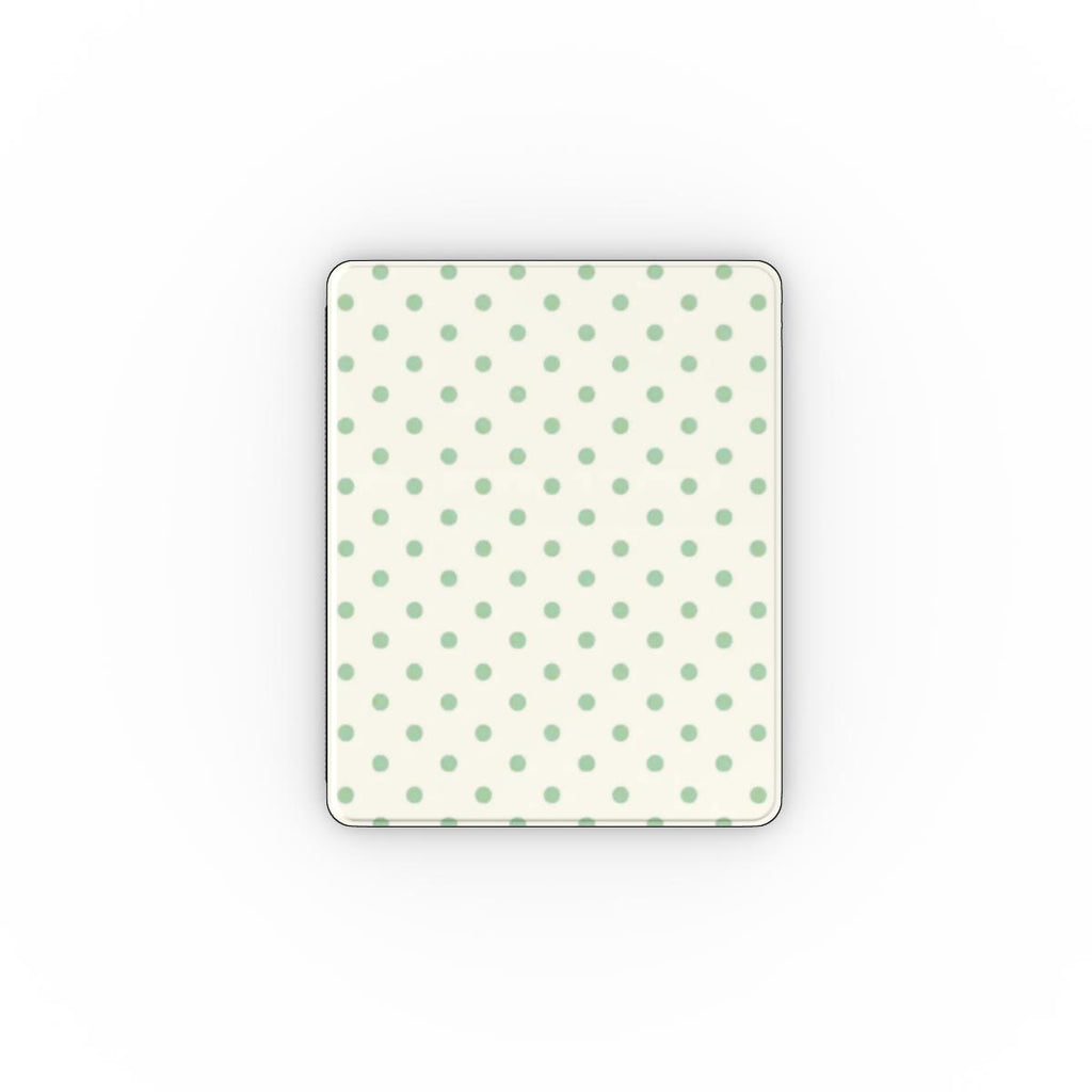 Apple iPad Case
