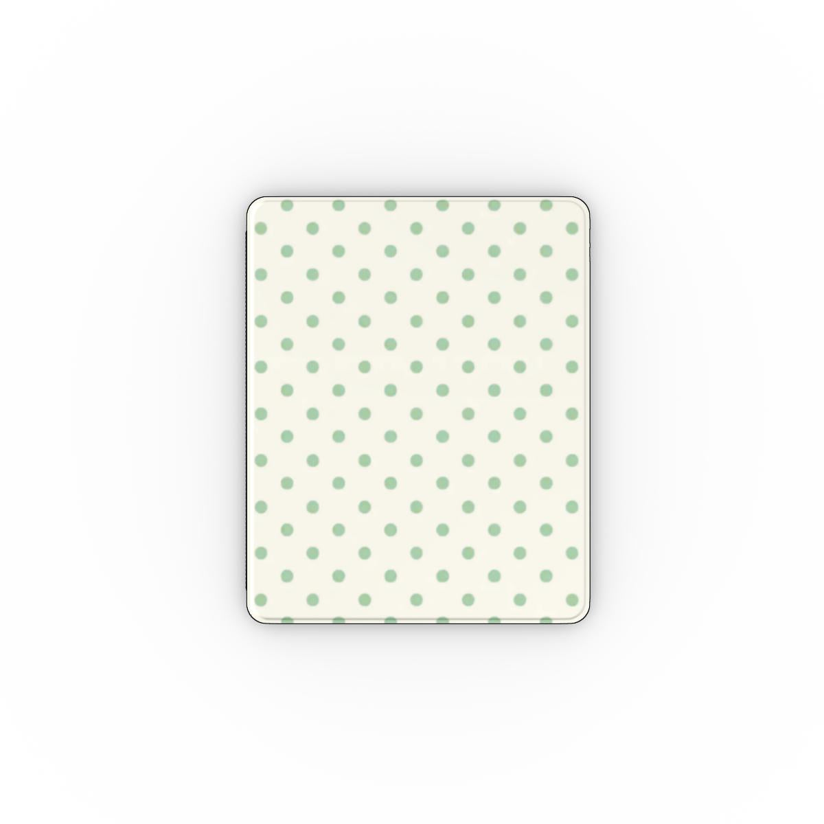 Apple iPad Case